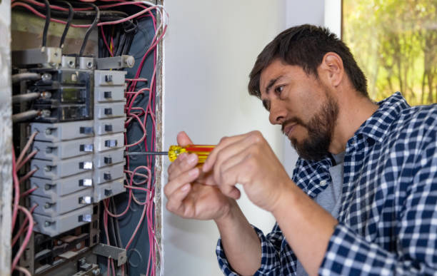Best Ceiling Fan Installation Electrician  in Belmond, IA